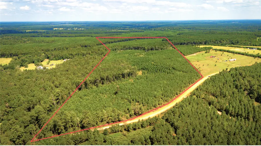 TBD Stutts Hill Road, Livingston, TX 77351 - Image #2