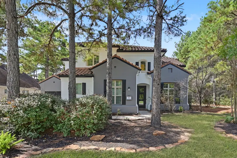 51 Wrangler Pass Drive, The Woodlands, TX 77389 - #2