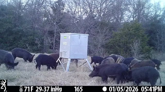 165 AC Turner Ln, Franklin, TX 77856 - Image #3