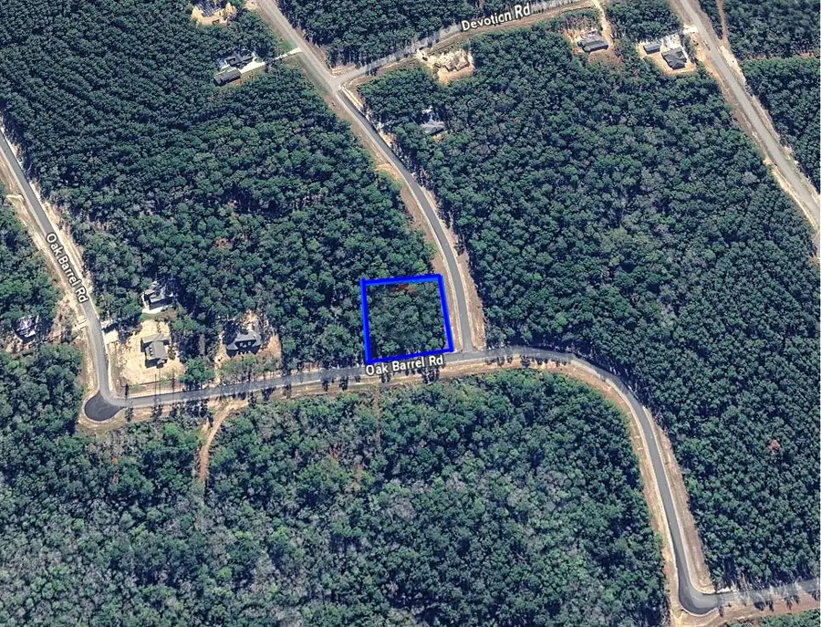 16062 Four Hills Road, Willis, TX 77378 - #3