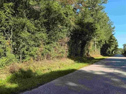 00 County Road 616, Buna, TX 77612 - #1