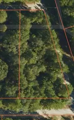 00 County Road 616, Buna, TX 77612 - #2