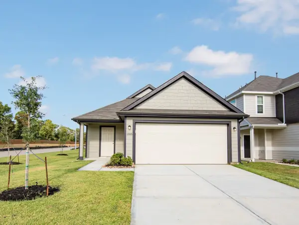 13305 Burbot Drive, Conroe, TX 77384