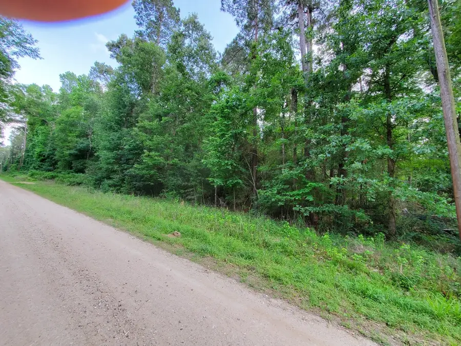 000 Elmwood Drive, Goodrich, TX 77335 - #2