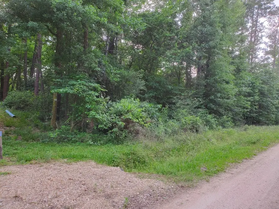 000 Elmwood Drive, Goodrich, TX 77335 - #3