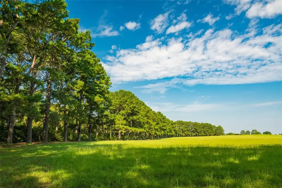 19204 Fm 359 Road, Hempstead, TX 77445 - #2