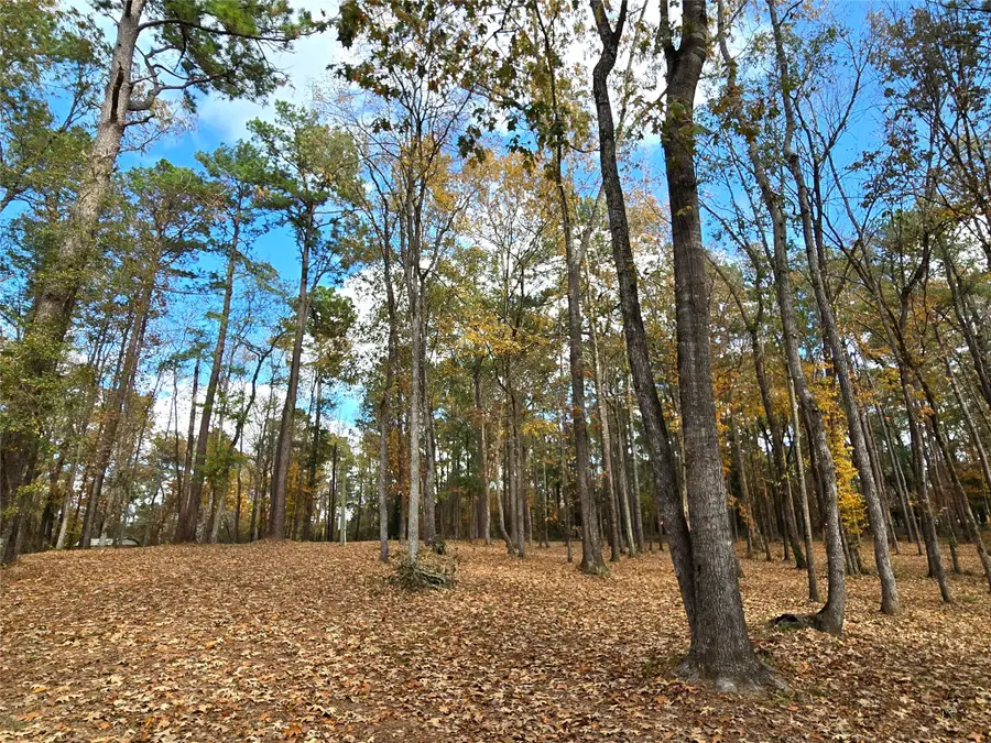 351 Dejardo Lane, Coldspring, TX 77331 - Image #2