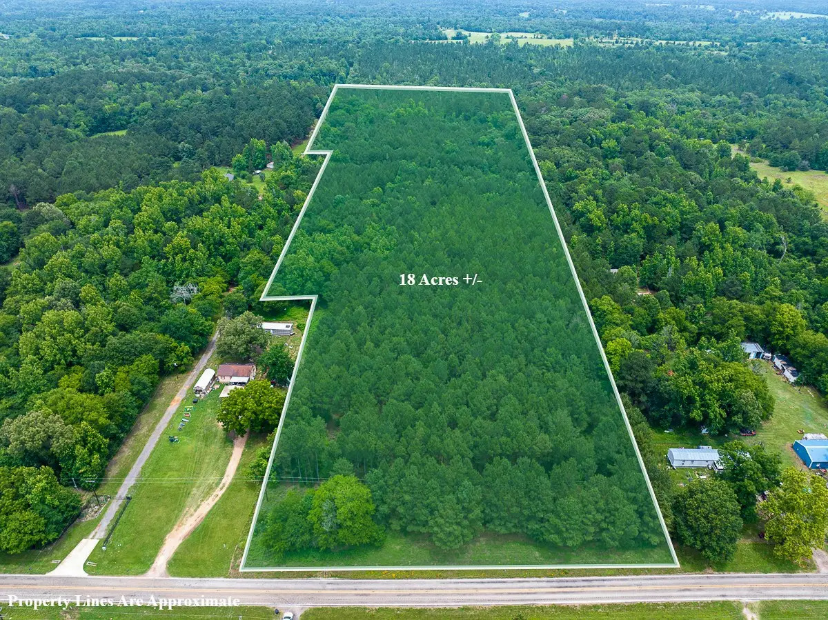 21135 Fm 1252, Winona, TX 75706 - #1