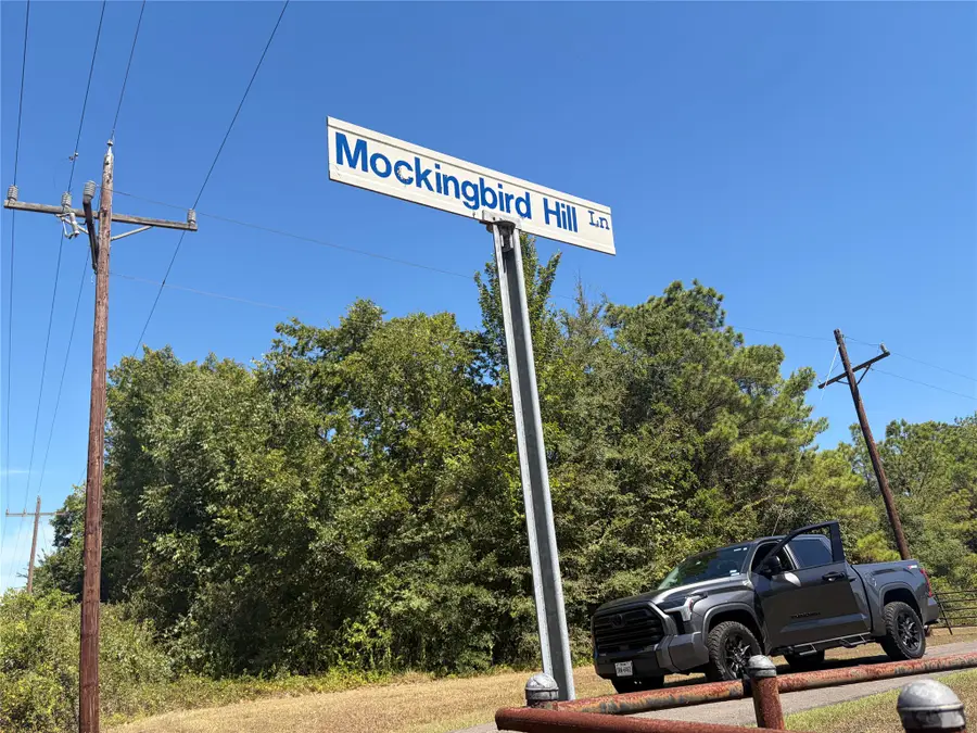 0000 Mocking Bird Lane, Plantersville, TX 77363 - #3