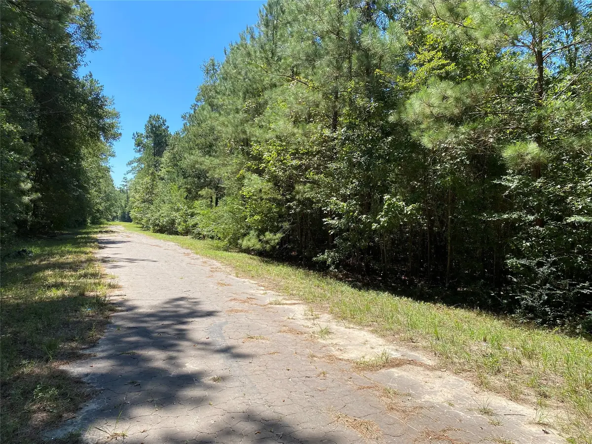 00 Birch Ln, Southeast Montgomery, TX 77328 - Image #1