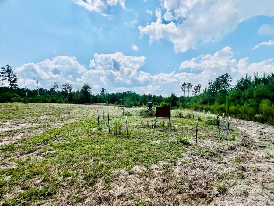 0 Nine Bridge Road, Corrigan, TX 75939 - Image #2