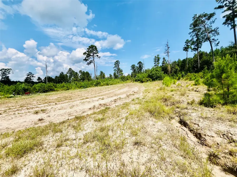 0 Nine Bridge Road, Corrigan, TX 75939 - Image #3