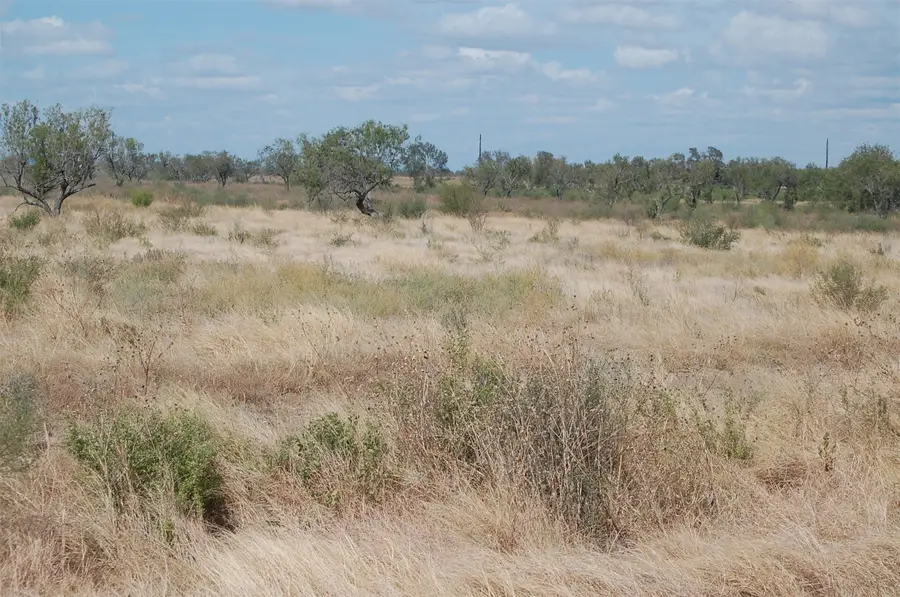 7081 County Rd 301, Sabinal, TX 78881 - Image #3