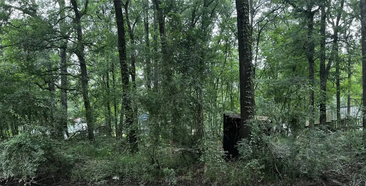 TBD Mudd Street, Coldspring, TX 77331 - Image #1