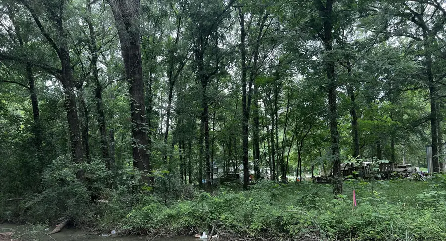 TBD Mudd Street, Coldspring, TX 77331 - Image #2