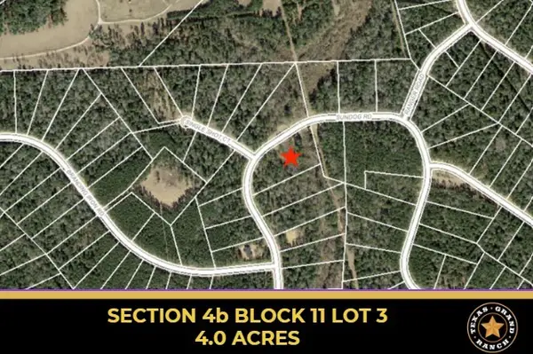 4b-11-3 Sundog Road, Huntsville, TX 77340