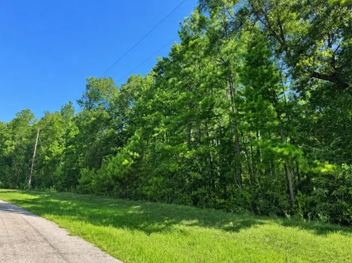 4b-11-3 Sundog Road, Huntsville, TX 77340 - #2
