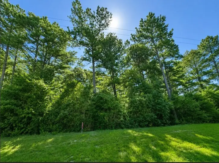 4b-11-3 Sundog Road, Huntsville, TX 77340 - #3