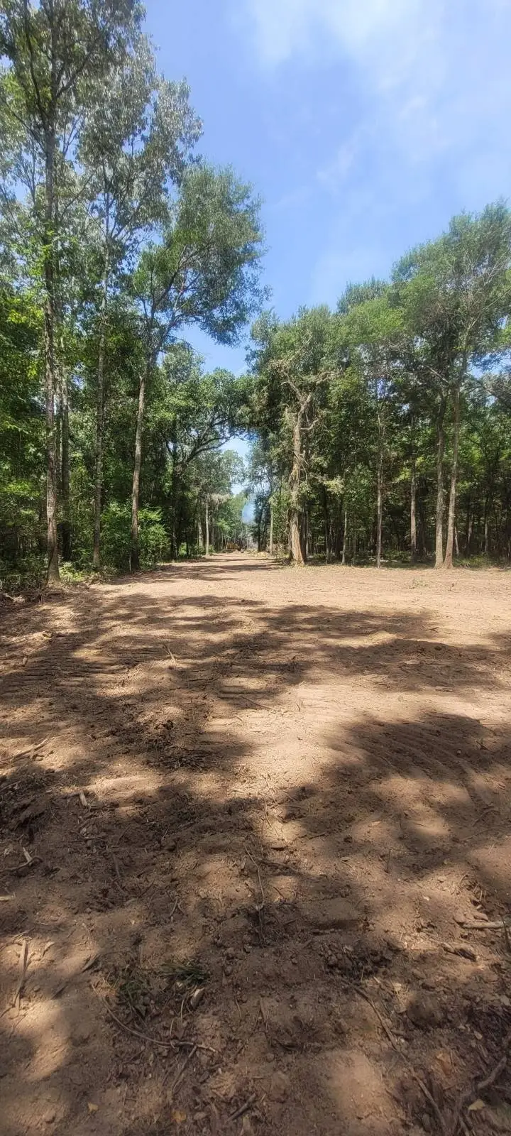 TBD Buck Creek Road, Shepherd, TX 77371 - #2