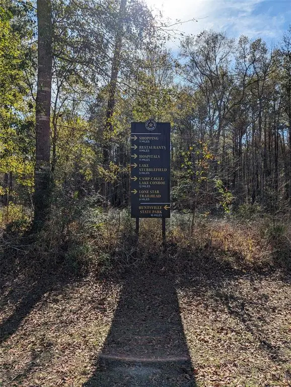 0 Remington Road, Huntsville, TX 77340 - Image #3