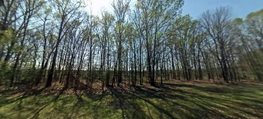 302 Terrell Road, Livingston, TX 77351 - Image #3