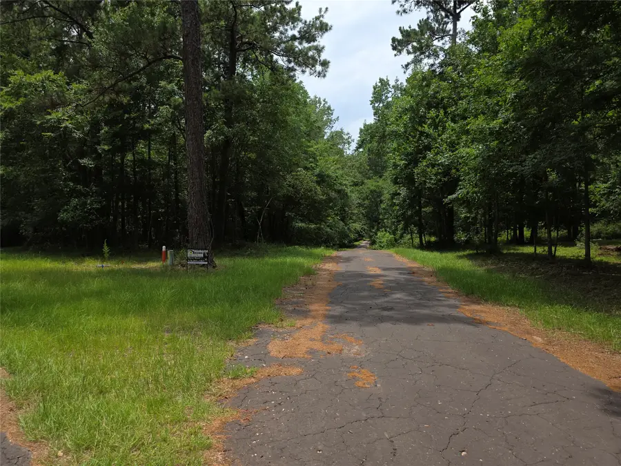 TBD Loper Lake Drive, Livingston, TX 77351 - #2