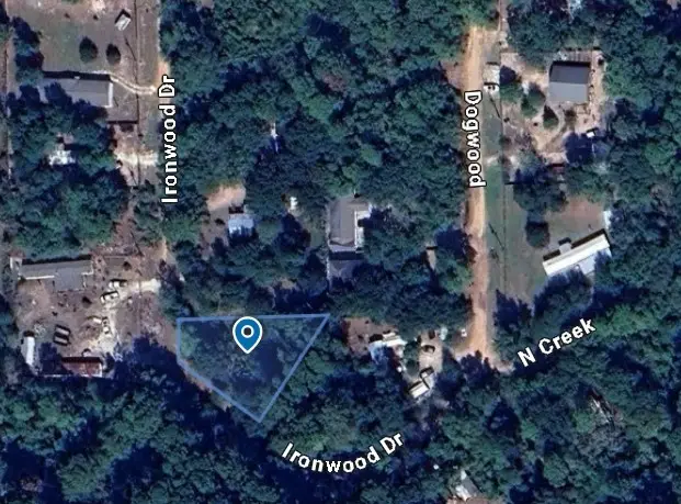 12367 Ironwood Drive, Plantersville, TX 77363 - #2