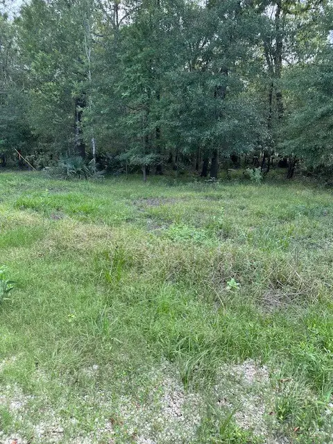 TBD Walker Drive, Cleveland, TX 77327 - Image #3