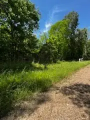 57 County Road 2862, Cleveland, TX 77327 - Image #2