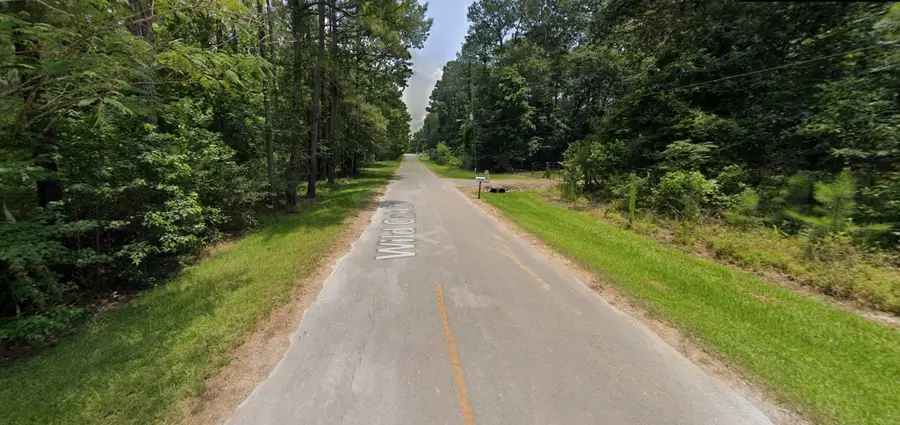 374 Wild Oak Drive, Huffman, TX 77336 - Image #2