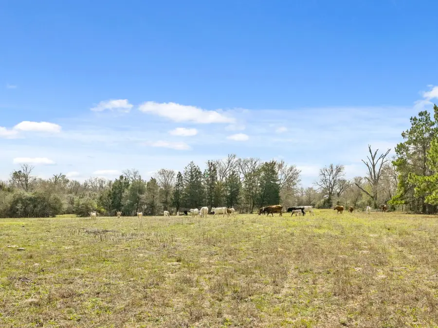 0 West, Navasota, TX 77868 - #2