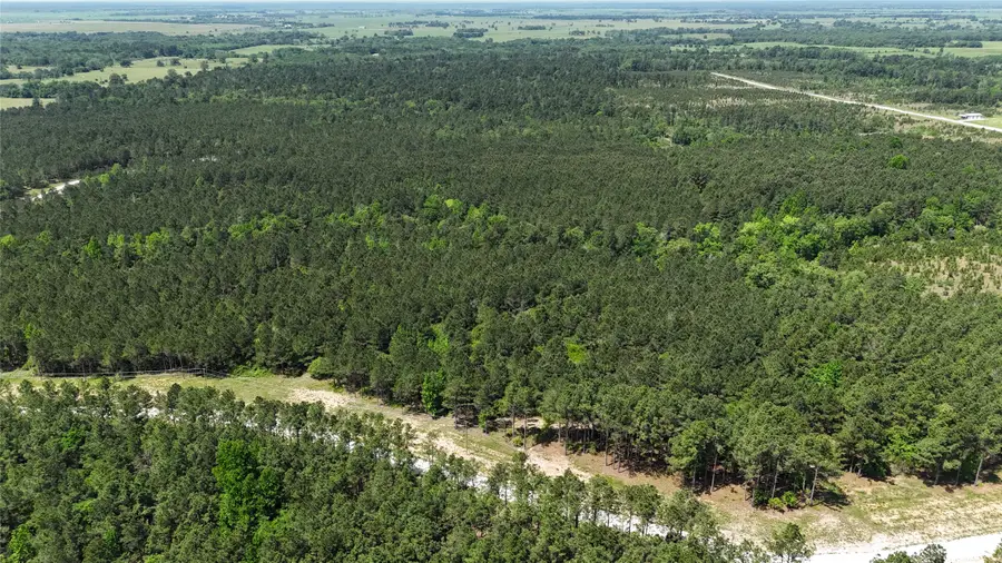 TBD Lampasas Lane, Lovelady, TX 75851 - Image #3