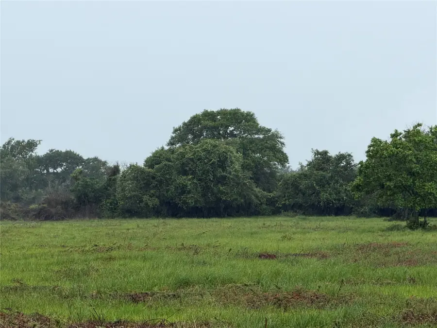 0 Fm 616, Blessing, TX 77419 - #2
