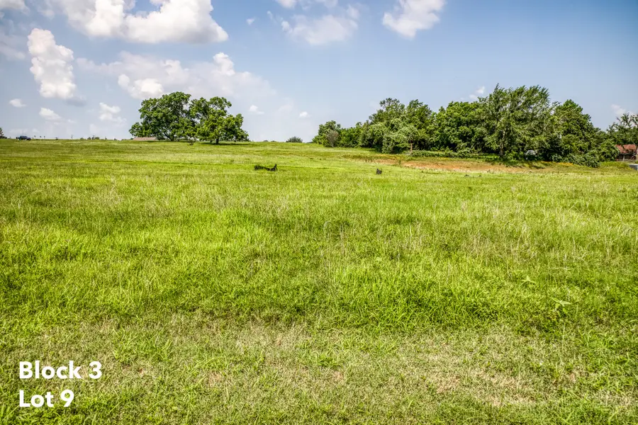 2410 Oak Hollow Lane, Brenham, TX 77833 - Image #2