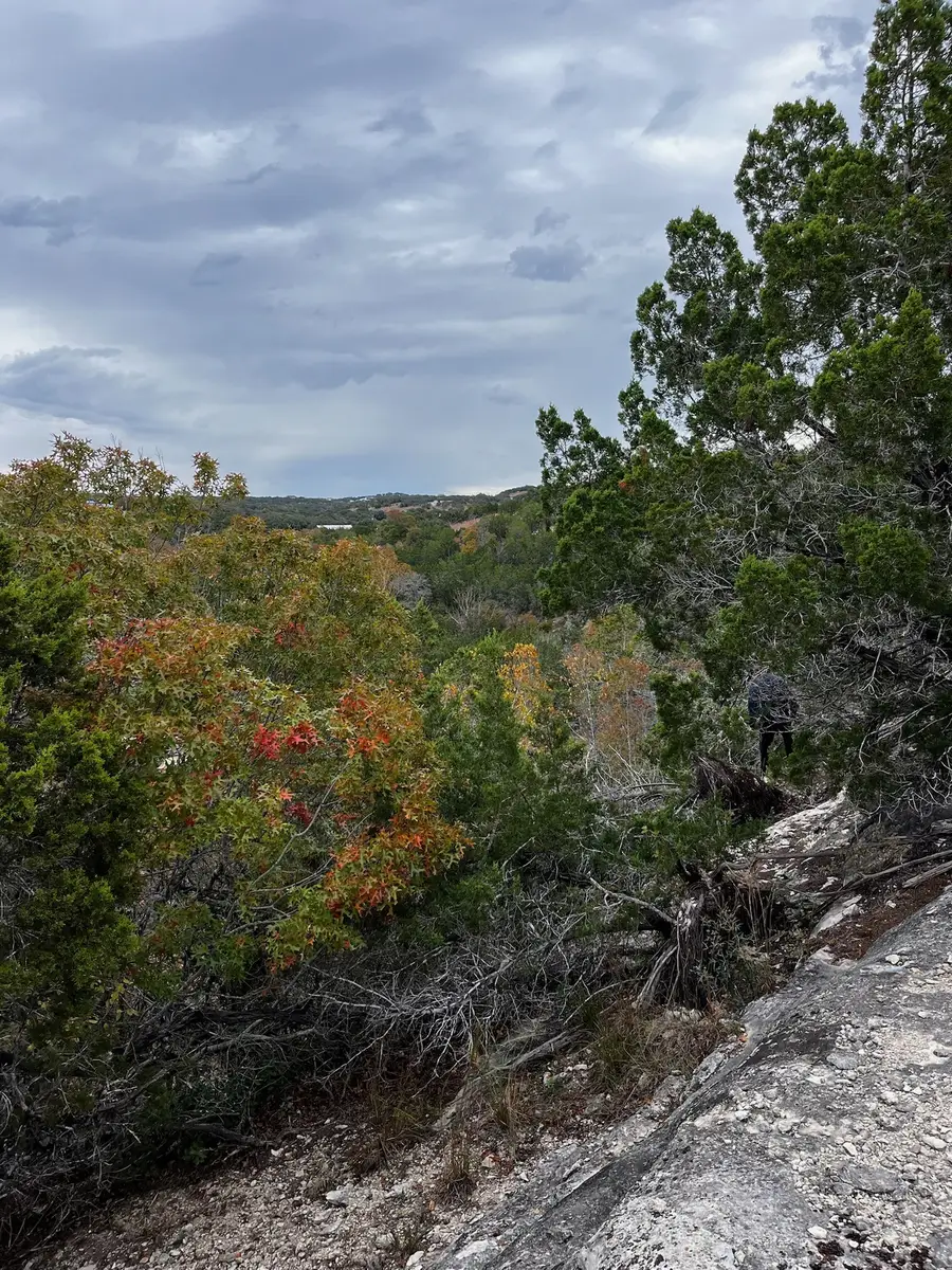 101 Twin Creek Road, Dripping Springs, TX 78620 - #3