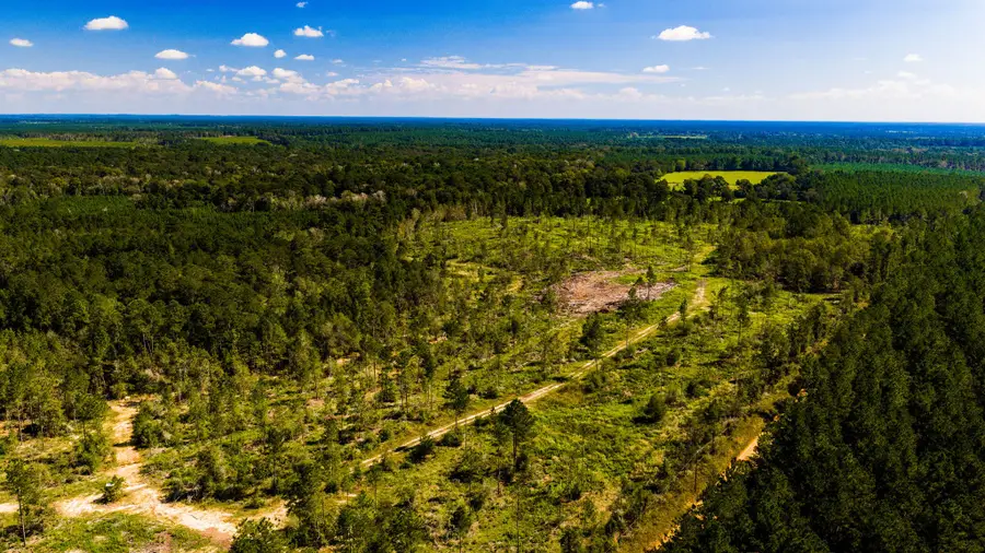 006 Buddy Lloyd Rd, Livingston, TX 77351 - #3