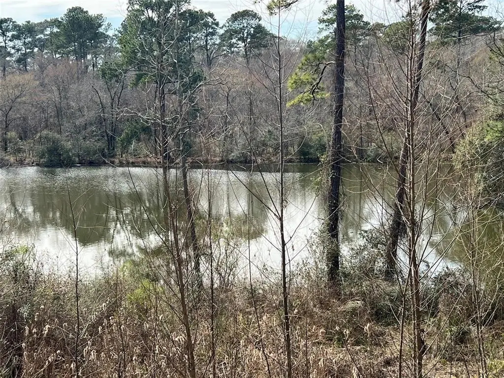 25615 Timberlakes Dr, Spring, TX 77380 - Image #1