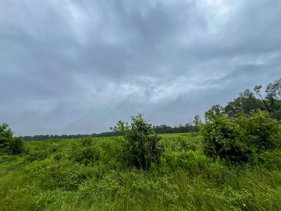 3 Fm 1276, Livingston, TX 77351 - #3