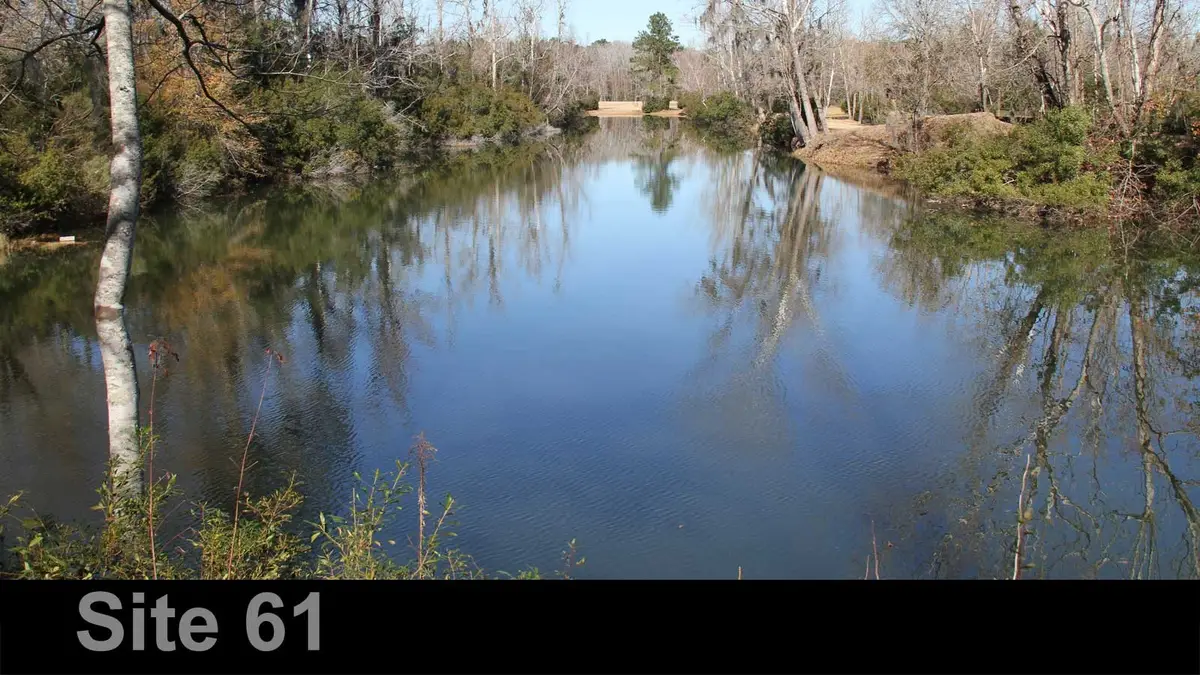 61 Cedar Ridge, Cleveland, TX 77327 - #1