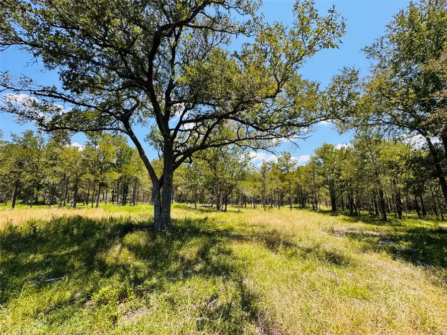 1132 Kickler, Fayetteville, TX 78940 - #2