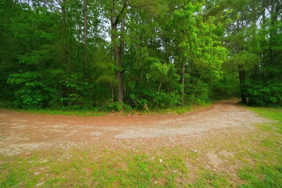 1775 Us Highway 190 E, Livingston, TX 77351 - #2