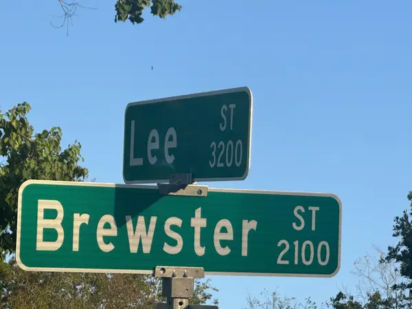 2203 Brewster Street, Houston, TX 77026