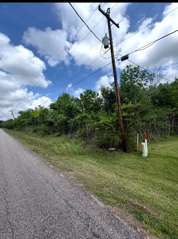 0 County Road 356, Brazoria, TX 77422