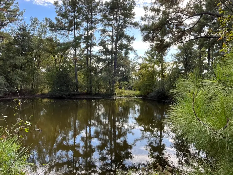 7749 Cr 4200, Pennington, TX 75856 - #2