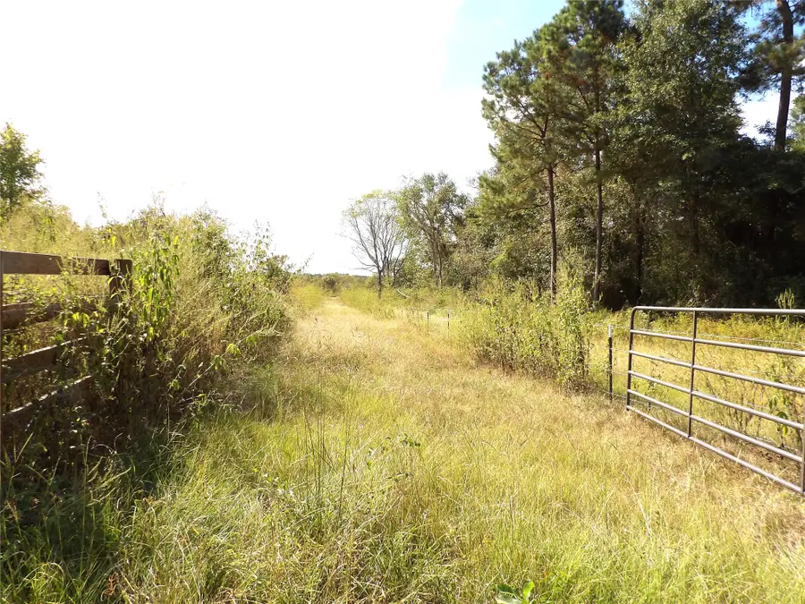 7749 Cr 4200, Pennington, TX 75856 - #3