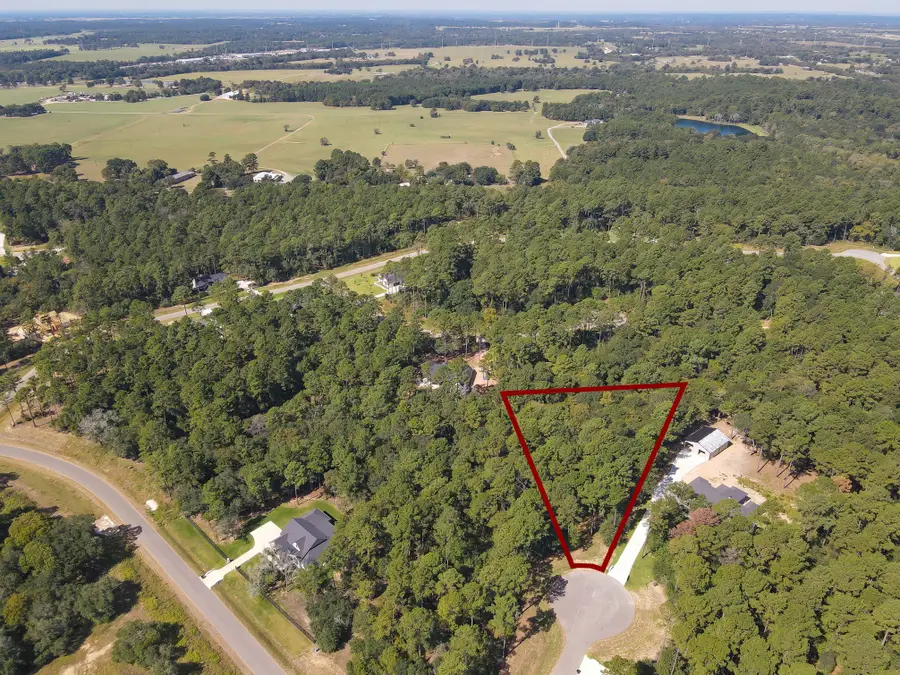 9400 Old Cedars Drive, Plantersville, TX 77363 - Image #2