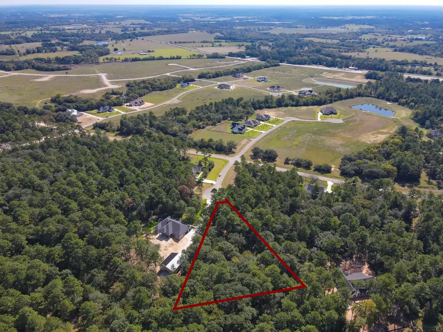 9400 Old Cedars Drive, Plantersville, TX 77363 - Image #3