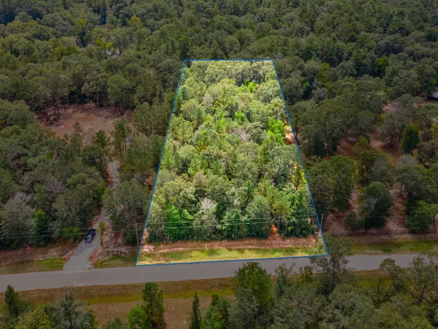 21026 Angus Drive, Cleveland, TX 77328 - Image #3