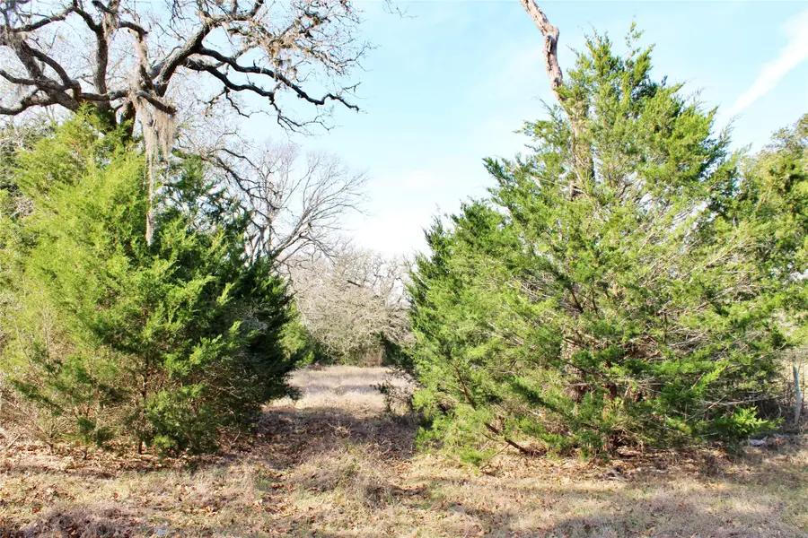 Parcel 4 Lobo Lane, Columbus, TX 78934 - #2