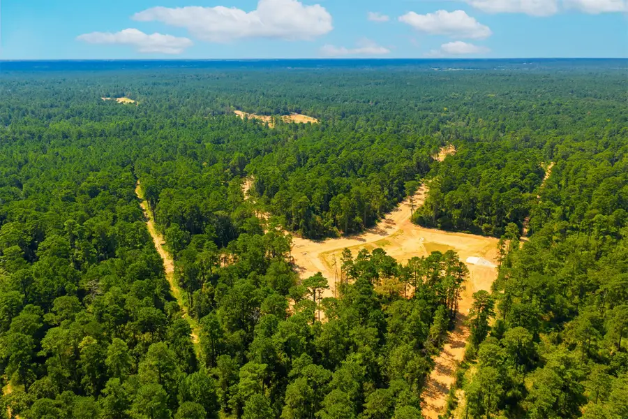 4111 Augusta Drive, Montgomery, TX 77316 - #2